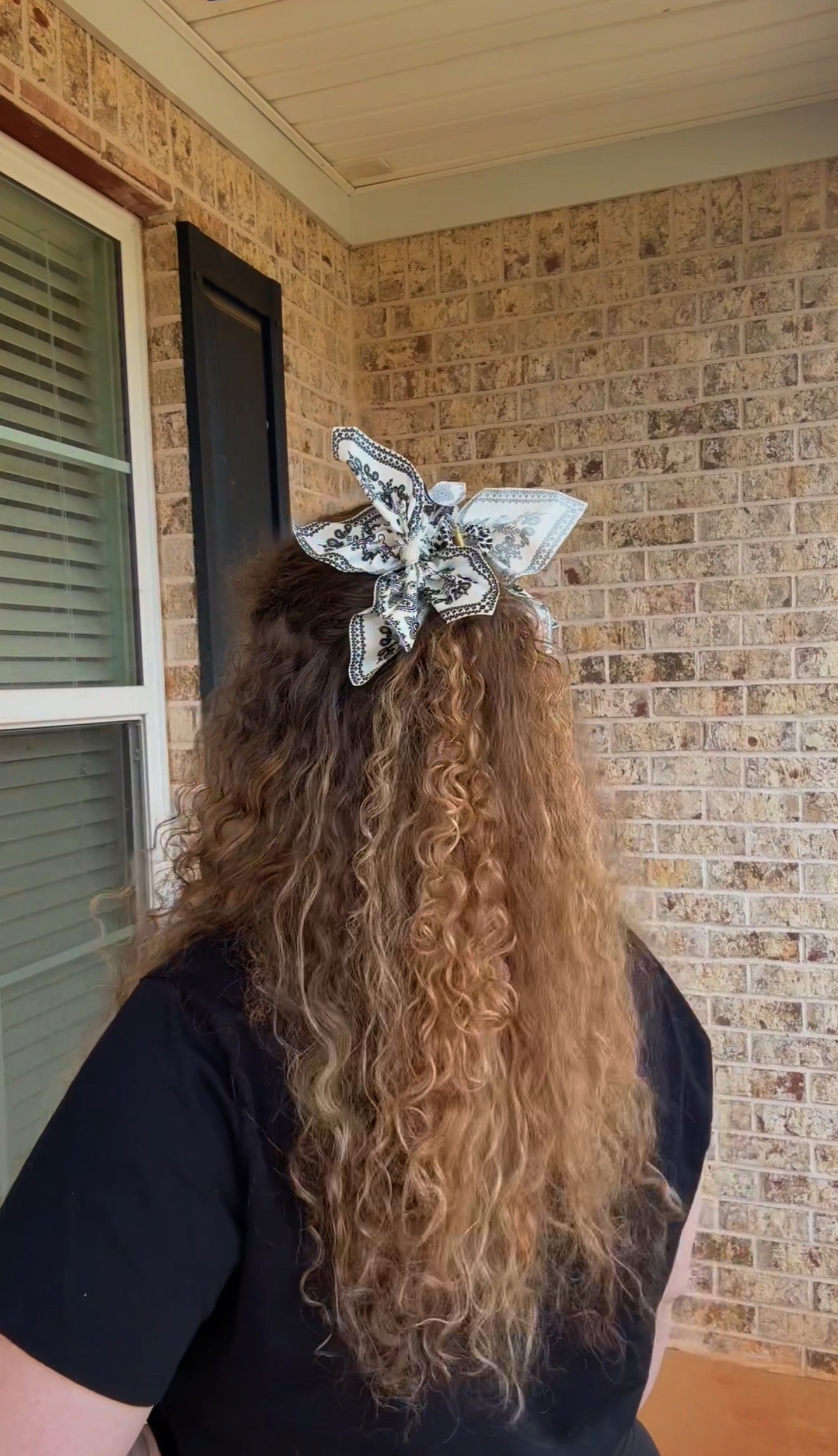 Paisley Hair Clip