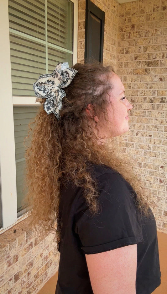 Paisley Hair Clip